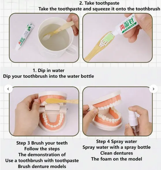 Mo130 - Montessori Brushing Teeth Model