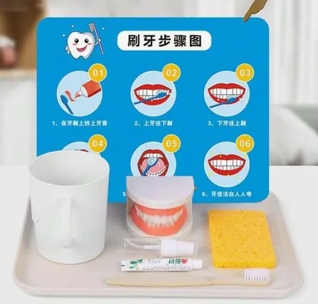 Mo130 - Montessori Brushing Teeth Model